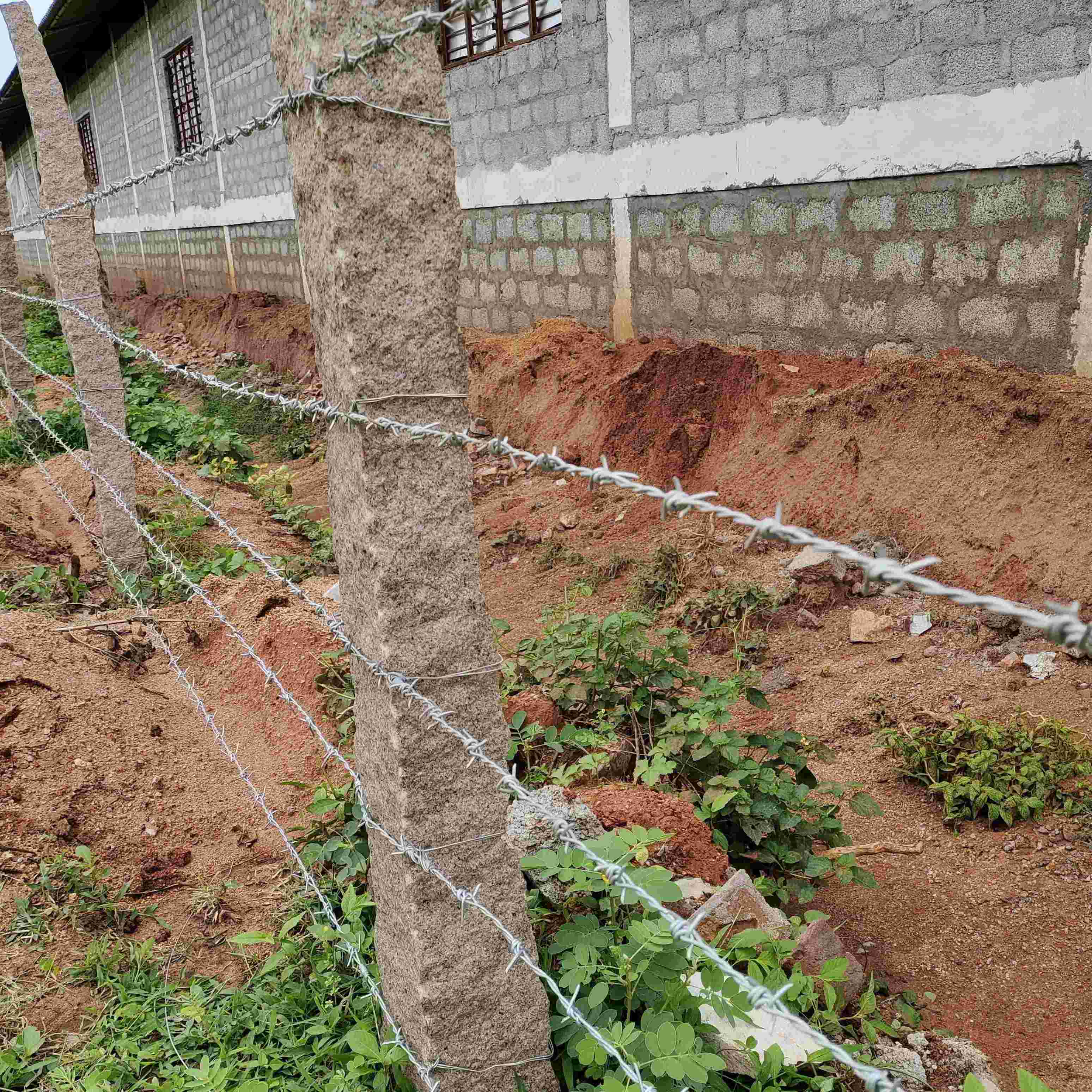 barbed wire for fence